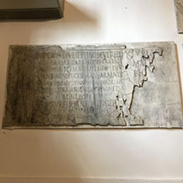 arton2942-54f